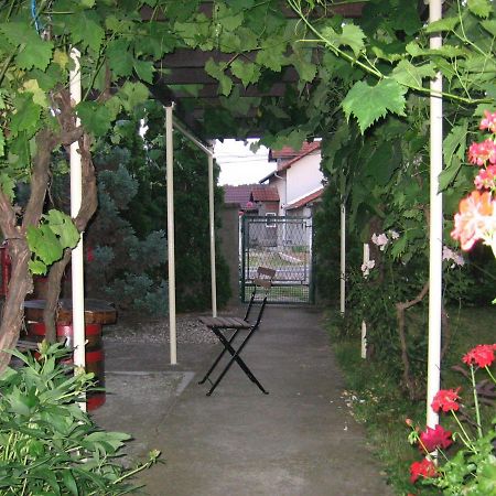 Ferienwohnung Kuca Za Odmor Jelena Kladovo Exterior foto