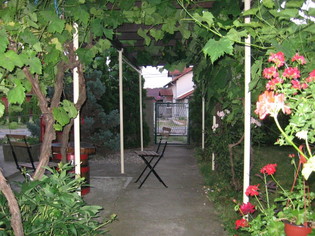 Ferienwohnung Kuca Za Odmor Jelena Kladovo Exterior foto