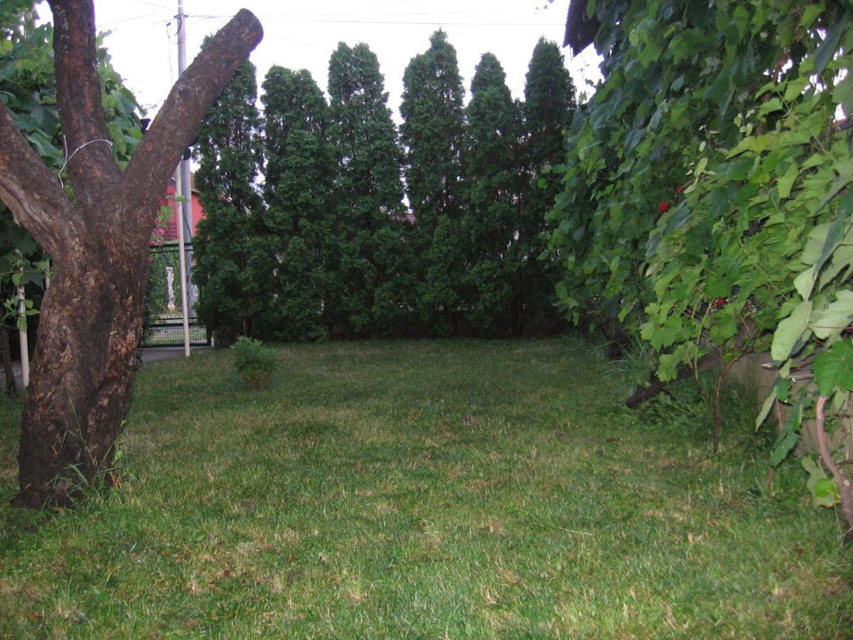 Ferienwohnung Kuca Za Odmor Jelena Kladovo Exterior foto