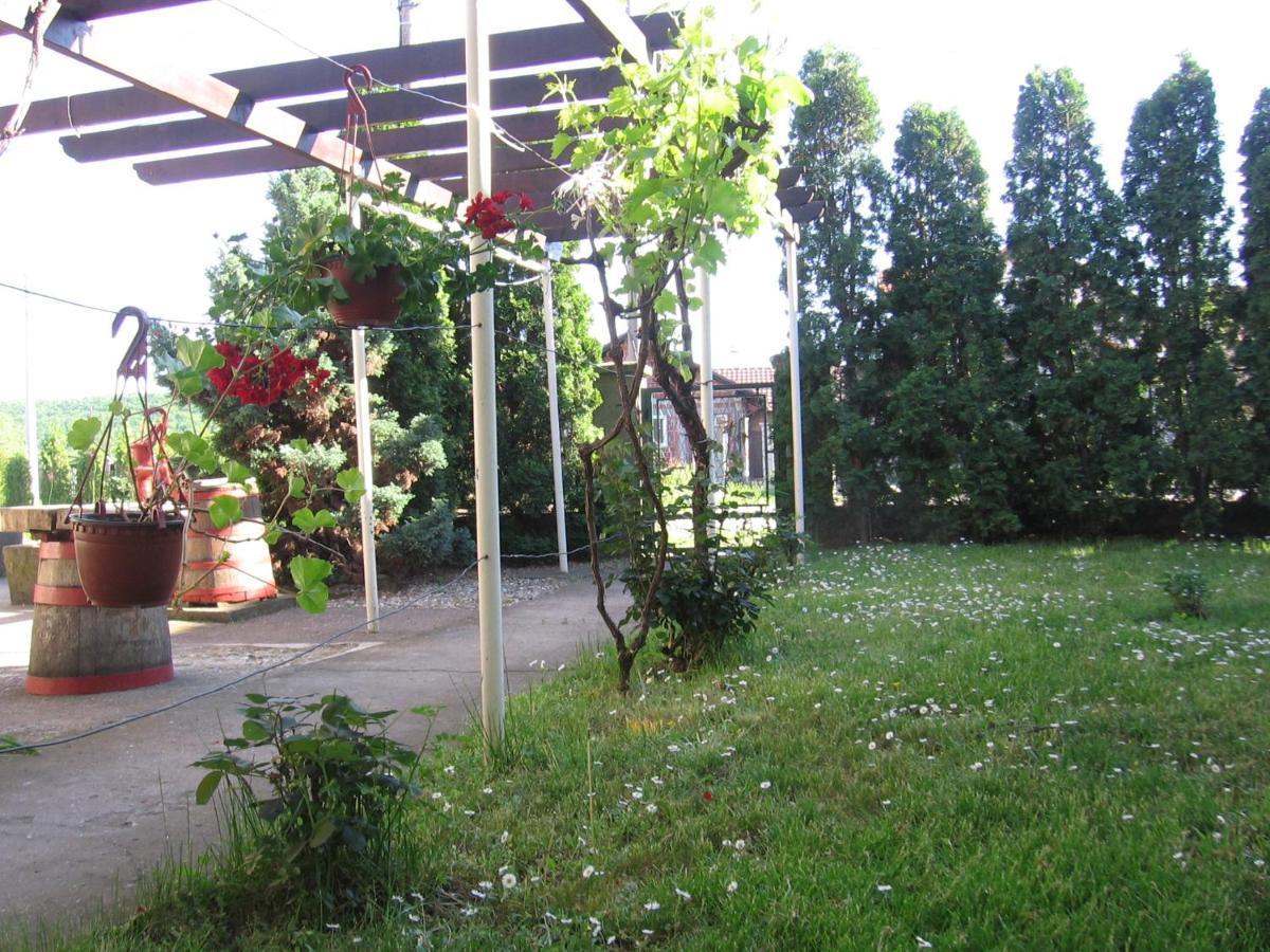 Ferienwohnung Kuca Za Odmor Jelena Kladovo Exterior foto